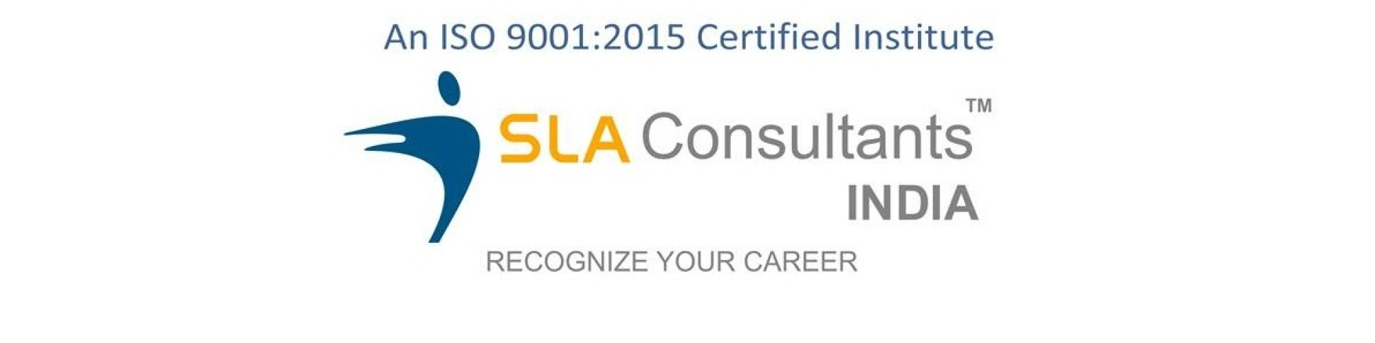 SLA Consultants India