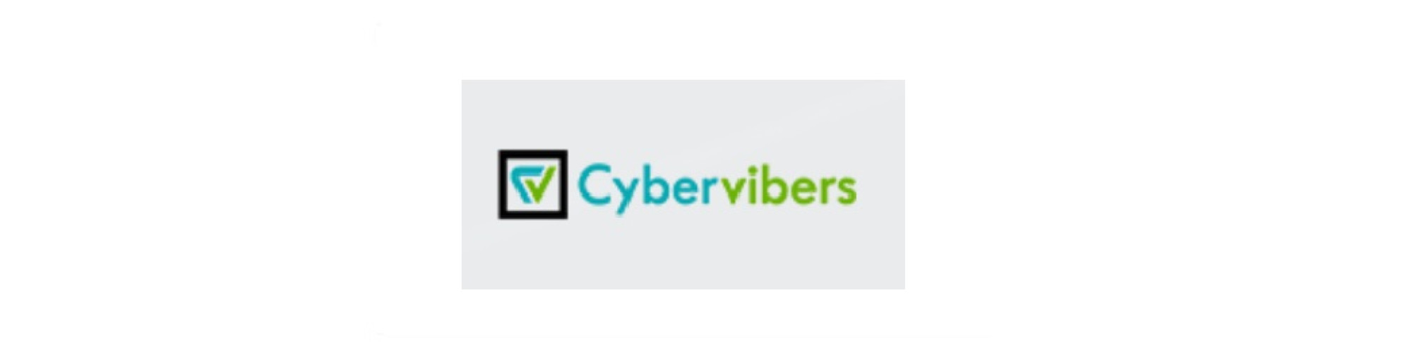 Cybervibers