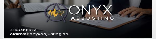 Onyx Adjusting cover image